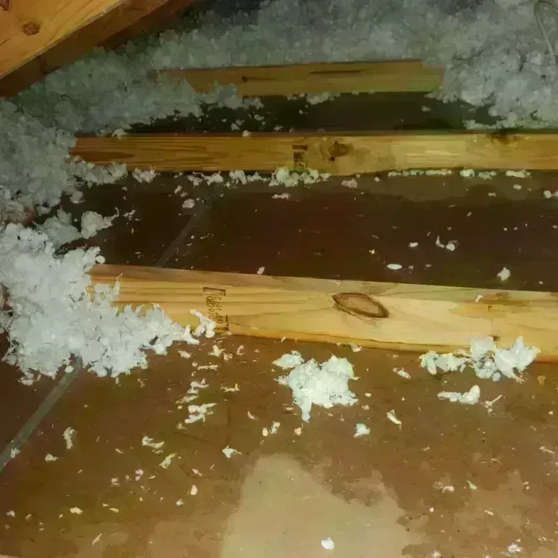 Attic Water Damage in Tate County, MS